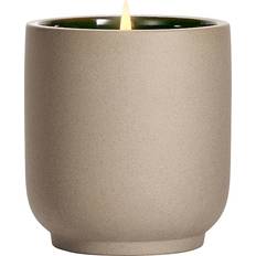 Homecourt Cipres Mint Scented Candle