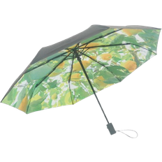 Umbrella Lemon