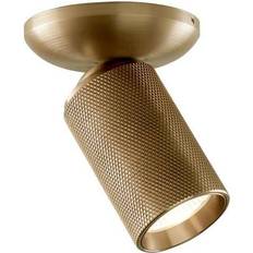 LIGHT-POINT Glas Spotlights LIGHT-POINT Raw Brass Spotlight