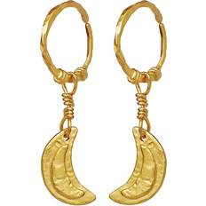 Sølv Øredobber Maanesten Odessa Earrings - Gold