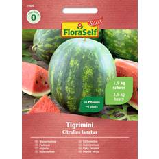 April Frukt- & Bärfröer FloraSelf Tigrimini
