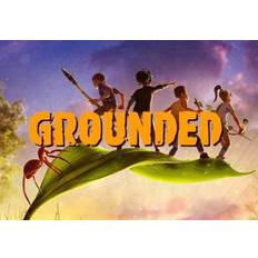 Grounded