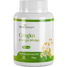 Gingko VitaSanum Gingko 500mg 60 pcs