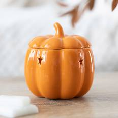 Wax Melt Something Different Pumpkin Burner Wax Melt