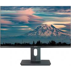 APPM24SBV3 23.8"
