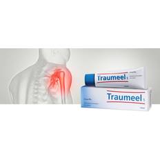 Traumeel Ointment Cream 100g