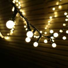 Samuel Alexander Frosted Berry Christmas Lights 3.75M Warm White Christmas Lighting