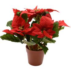 Kunstige planter Lifetime Dekorativ Rød Ø 27 cm Kunstig plante