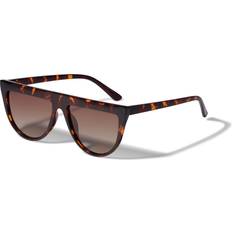 Solbriller Pilgrim ALESSANDRA solbriller tortoise brun