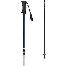 Silver Trekking Poles Black Diamond Distance Carbon FLZ Poles