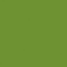 Duni Bio Dunisoft Serviet 20x20 cm Leaf Green