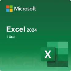 Microsoft Excel 2024