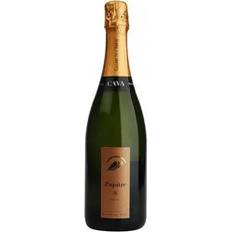 Cavas Cava Pupitre Brut