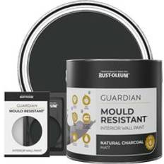 Rust-Oleum Black - Wall Paints Rust-Oleum Guardian Interior Wall Paint 10ml Natural Charcoal Wall Paint Black