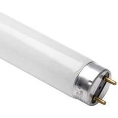 Qvs Triphosphor Fluorescent Lamps 30W G13