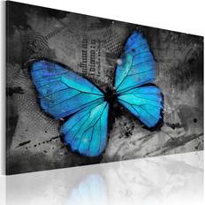 Billede The Study of Butterfly 30 x 20 cm