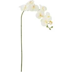 Bloomingville Orkidé Blomma Vit Konstgjord växt
