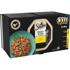 Sheba Pets Sheba Select Slices Cat Trays 4 x 8 x 85 4 x 8 x 85 g