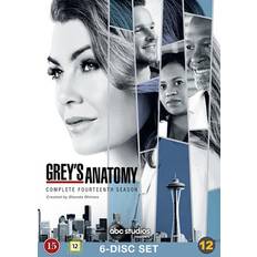 Greys Anatomy Säsong 14
