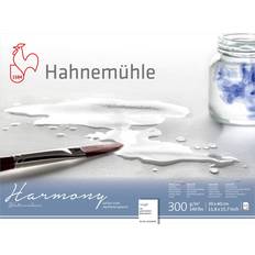 Hahnemuhle Akvarellpapper Harmony 300 g 30 x 40 cm