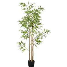 Bambuväxt 3 Stjälkar 830 Blad Lättskött 180 cm