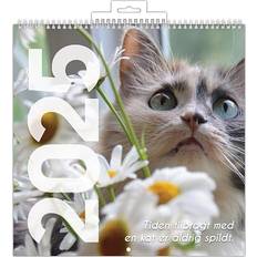 Billedkalender 2025 Katte På Lager