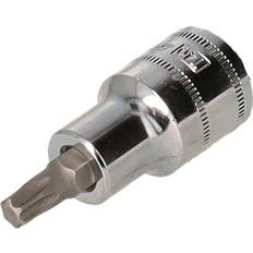 SP 1/2" T40 Torx Hylsa