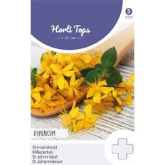 Horti Tops Prikbladet Perikon Frø Blomsterfrø