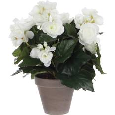 Vita Konstgjorda växter Mica Konstväxt Mica Begonia 30x25 cm Vit Konstgjord växt