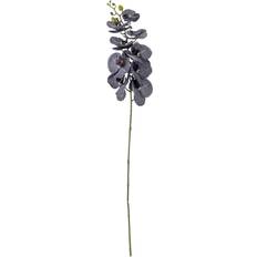 Lila Konstgjorda växter Bloomingville Orchid Stilk Lilla Kunstig plante