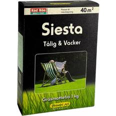 Skånefrö Gräsfrö Siesta 1 kg