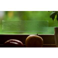 Fönsterfälla Transparent 20 Pack