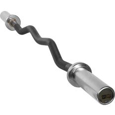 Master Fitness Nero Olympic Curlbar