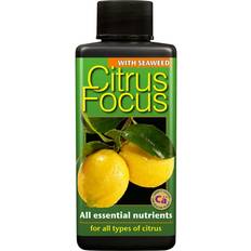 Pots, Plants & Cultivation Citrus Focus Plant Feed 1 Litre