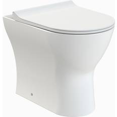 Rimless Back to Wall Toilet Pan