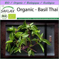 Semillas de Verdura Saflax Orgánico Basil Thai 250 Semillas