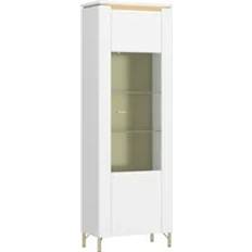 Lazio Vitrin 1 Door Display Alpine White White Gloss Glass Cabinet