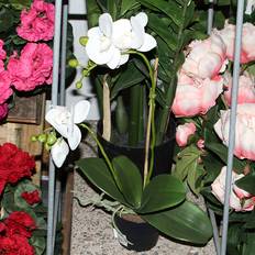 Mr Plant Orkidé Hvid 45 cm Kunstig plante