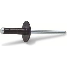 Blindnitar på rea Fast Blindnit Stor Skalle Lackerad 4.8 x 24.8 mm 10 St