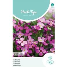 Horti Tops Blåpude Frø Whitewell Blomsterfrø