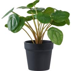 House Nordic Pelia H28 cm Grøn Kunstig plante