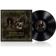 Musik Jethro Tull - Curious Ruminant (Vinyl)