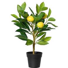 Everlands Decorative Plastic Lemon Tree 17x24x43 cm Artificial Plant