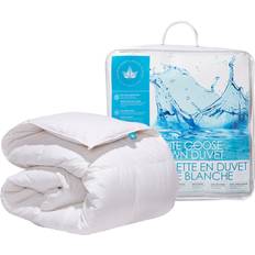 Canadian Down & Feather Company White Goose Comforter Twin Winter Weight Duvet