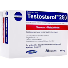 Testosteronbooster Supplementen Megabol Testosterol 250 Muscle Power