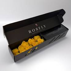 Rosely Honey Dream