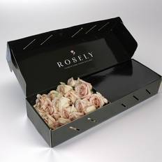 Snittblommor Rosely Soft Grace