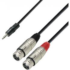 Adam Hall 3 STAR Balanced 3.5mm TRS Mini Jack to Twin XLR Splitter Cable 3m