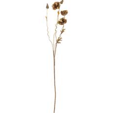 Kunstige planter Bloomingville Poppy Stilk 104 cm Brun Kunstig plante