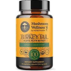 Turkey Tail Blend with Resihi 90 Capsules